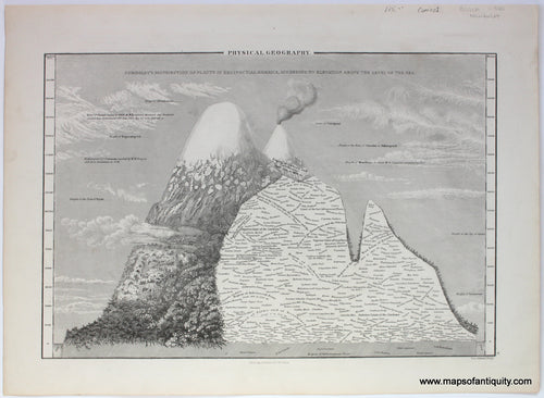 Antique-Map-Physical-Geography-Humboldt-Black-Aikman-1860-Comparative-Distribution-of-plants-elevation