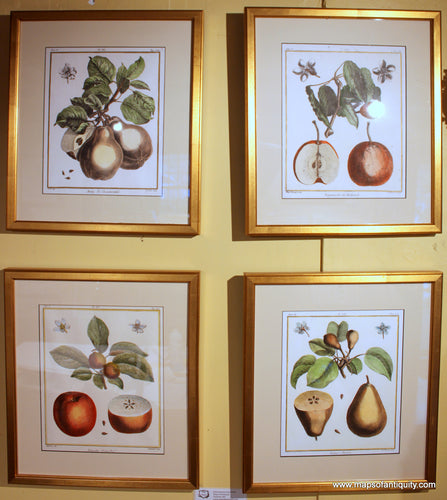 Special-Reproduction-Hand-Printed-apple-pear-framed-gifts-dÃƒÆ’Ã‚Â©cor