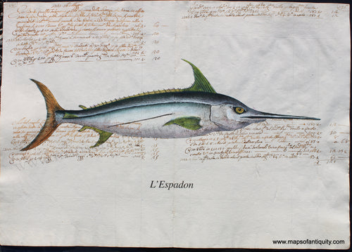 Specialty-Reproduction-L'Espadon-swordfish-Reproduction-on-Antique-Paper-Digitally-Engraved-Specialty-Reproduction---Reproduction-Maps-Of-Antiquity