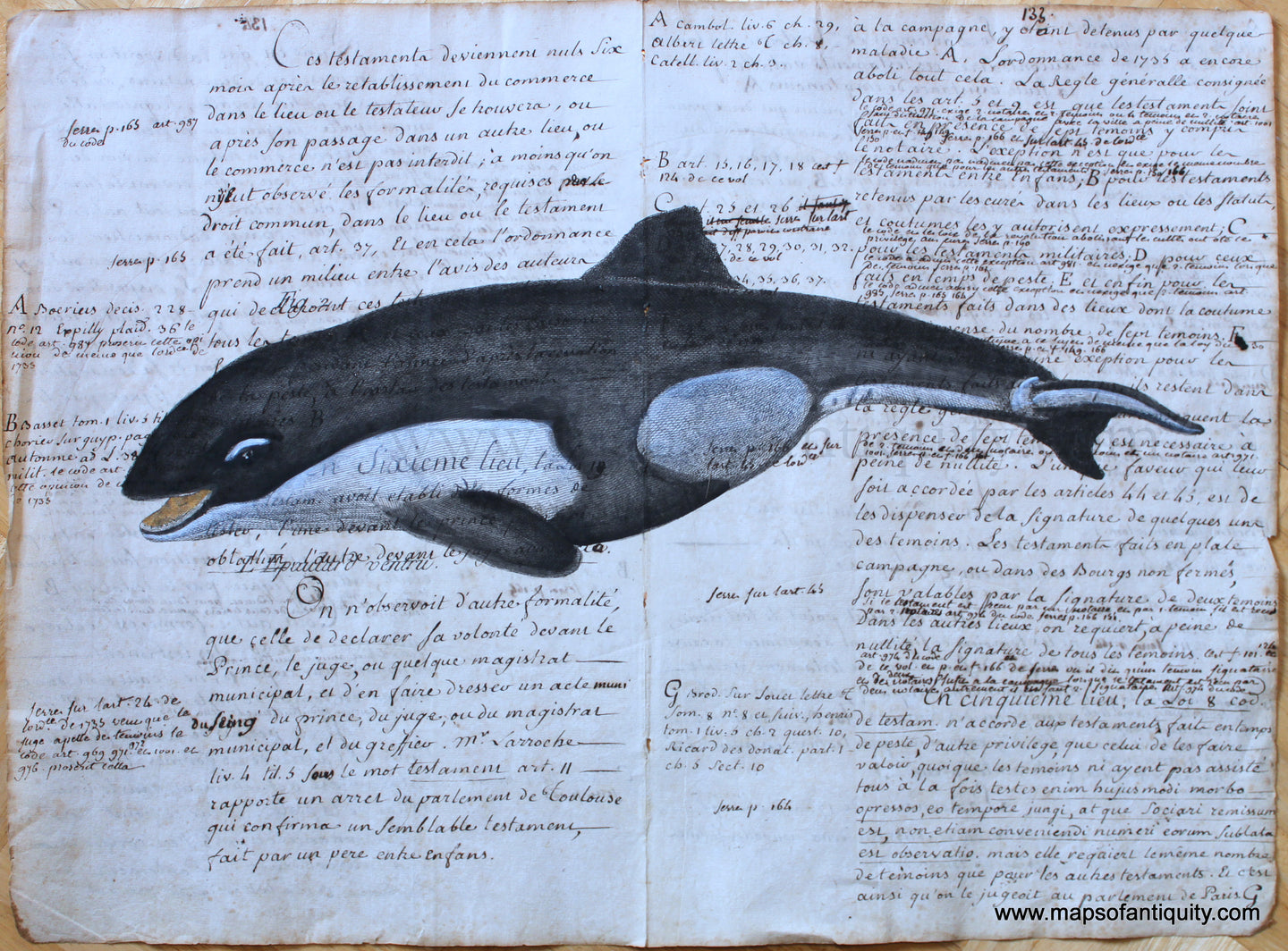 Digitally-Engraved-Specialty-Reproduction-Whale-(Reproduction)-Reproduction-Maps-of-Antiquity