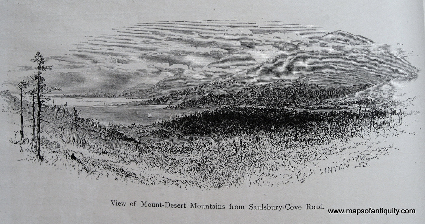 Black-and-White-Antique-Illustration-View-of-Mount-Desert-Mountains-from-Saulsbury-Cove-Road.-Historical-Prints-Maine--Picturesque-America-Maps-Of-Antiquity
