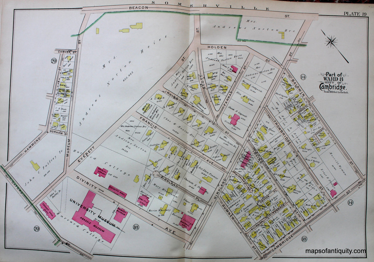 Antique-Hand-Colored-Map-City-of-Cambridge-MA-Part-of-Ward-8-University-Museum-US-Massachusetts-Cambridge-1903-Bromley-Maps-Of-Antiquity