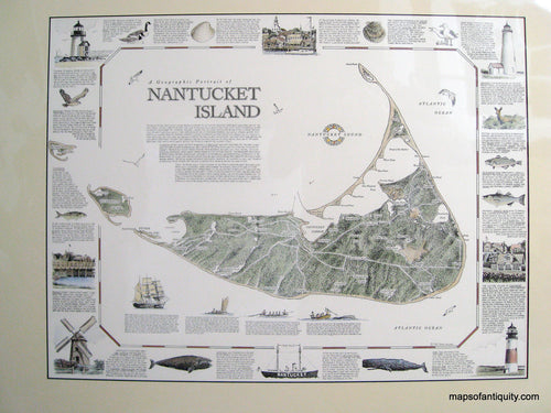 Hand-Colored-Printed-Map-A-Geographic-Portrait-of-Nantucket-Island-Massachusetts-Massachusetts-Cape-Cod-and-Islands-1985-Dana-Gaines-Maps-Of-Antiquity
