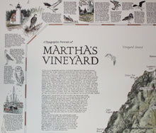 Load image into Gallery viewer, 1985 - A Topographic Portrait of Martha&#39;s Vineyard - Antique Map
