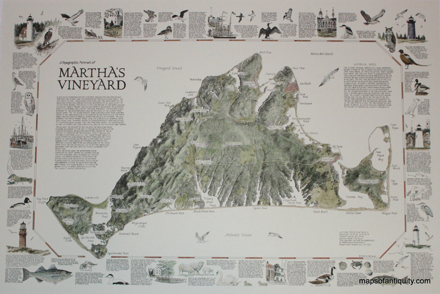 Hand-Colored-Printed-Map-A-Topographic-Portrait-of-Martha's-Vineyard--Massachusetts-Martha's-Vineyard-1985-Dana-Gaines-Maps-Of-Antiquity