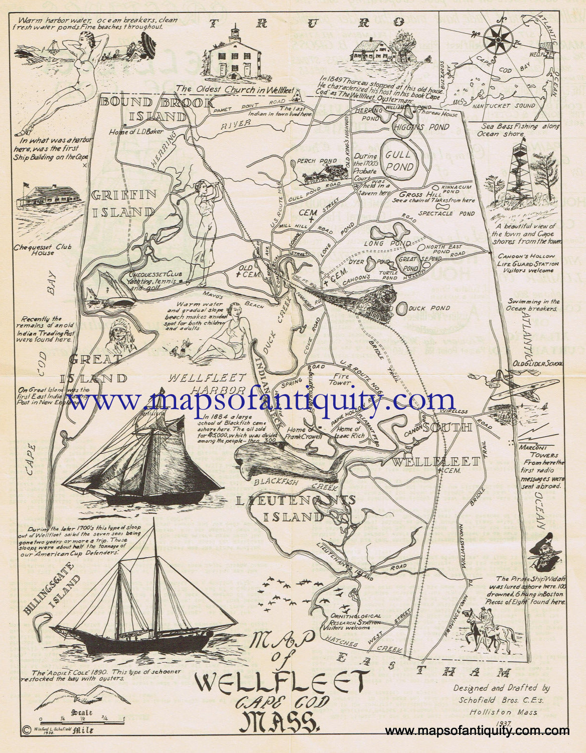 Antique-Black-and-White-Map-Map-of-Wellfleet-Cape-Cod-Mass-******-Massachusetts-Cape-Cod-and-Islands-1937-Schofield-Bros-Maps-Of-Antiquity