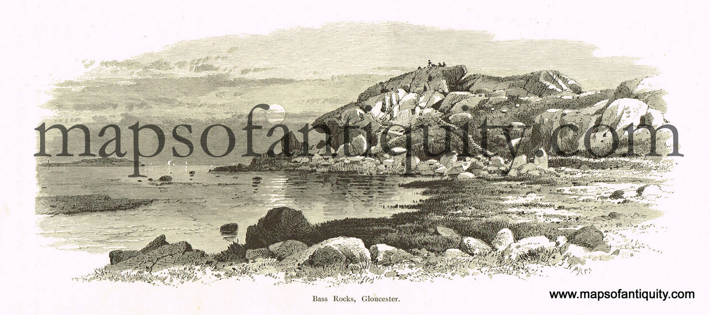 Antique-Black-and-White-Engraved-Illustration-Bass-Rocks-Gloucester-Massachusetts-Essex-County-1872-Picturesque-America-Maps-Of-Antiquity