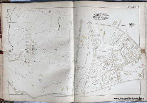 Antique-Printed-Color-Map-Part-of-Wards-3-&-4-City-of-Newton-Massachusetts-plate-14-1895-Bromley-Massachusetts-1800s-19th-century-Maps-of-Antiquity