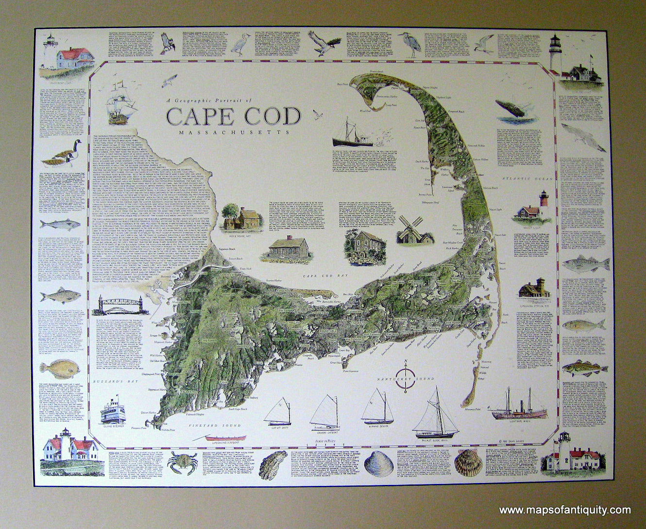Hand-Colored-Printed-Map-A-Geographic-Portrait-of-Cape-Cod-Massachusetts-US-Massachusetts-Cape-Cod-and-Islands-1985-Dana-Gaines-Maps-Of-Antiquity