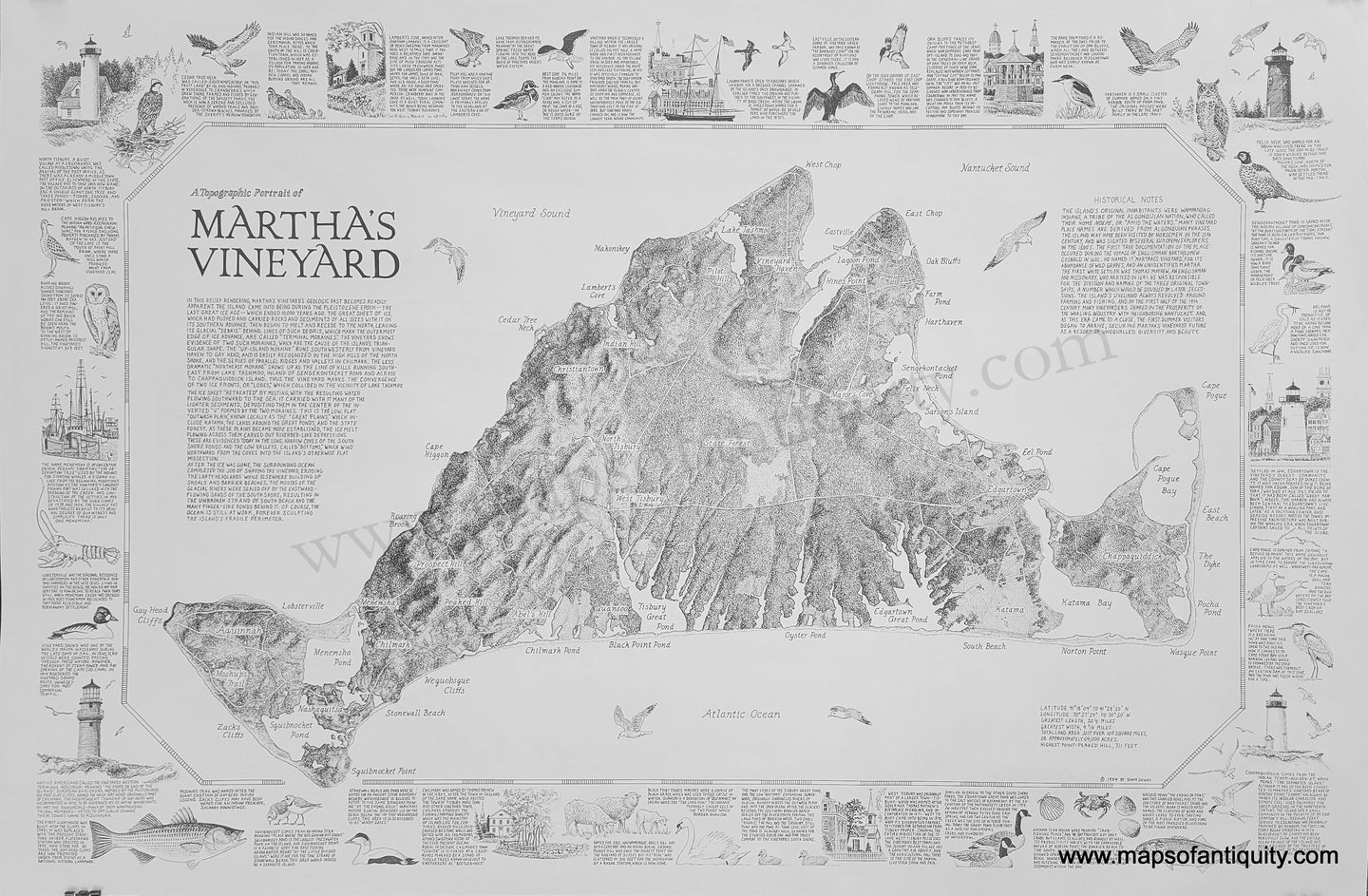 Modern-Printed-Map-A-Geographic-Portrait-of-Martha's-Vineyard-Massachusetts-US-Massachusetts-Cape-Cod-and-Islands-1985-Dana-Gaines-Maps-Of-Antiquity