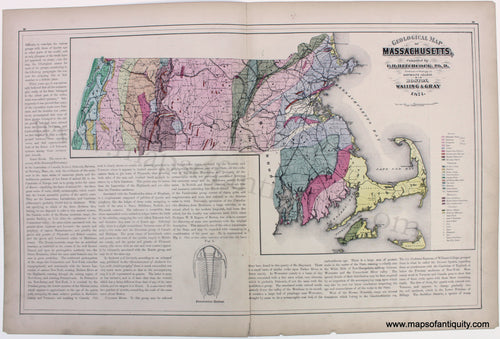 1871 - Geological Map of Massachusetts. - Antique Map