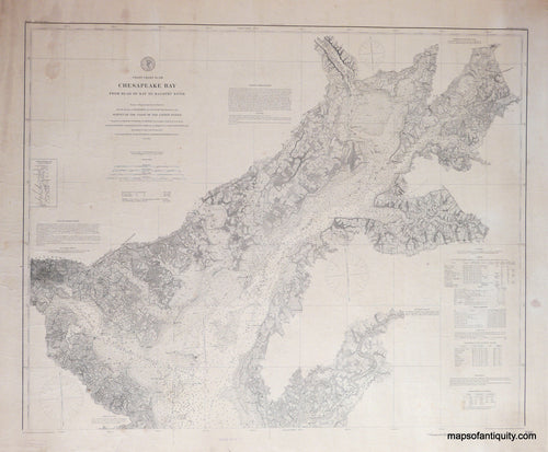 Antique-Coastal-Report-Chart-Coast-Chart-136-Chesapeake-Bay-Head-of-bay-to-Magothy-River-**********-United-States-Maryland-1877-U.S.-Coast-and-Geodetic-Survey-Maps-Of-Antiquity