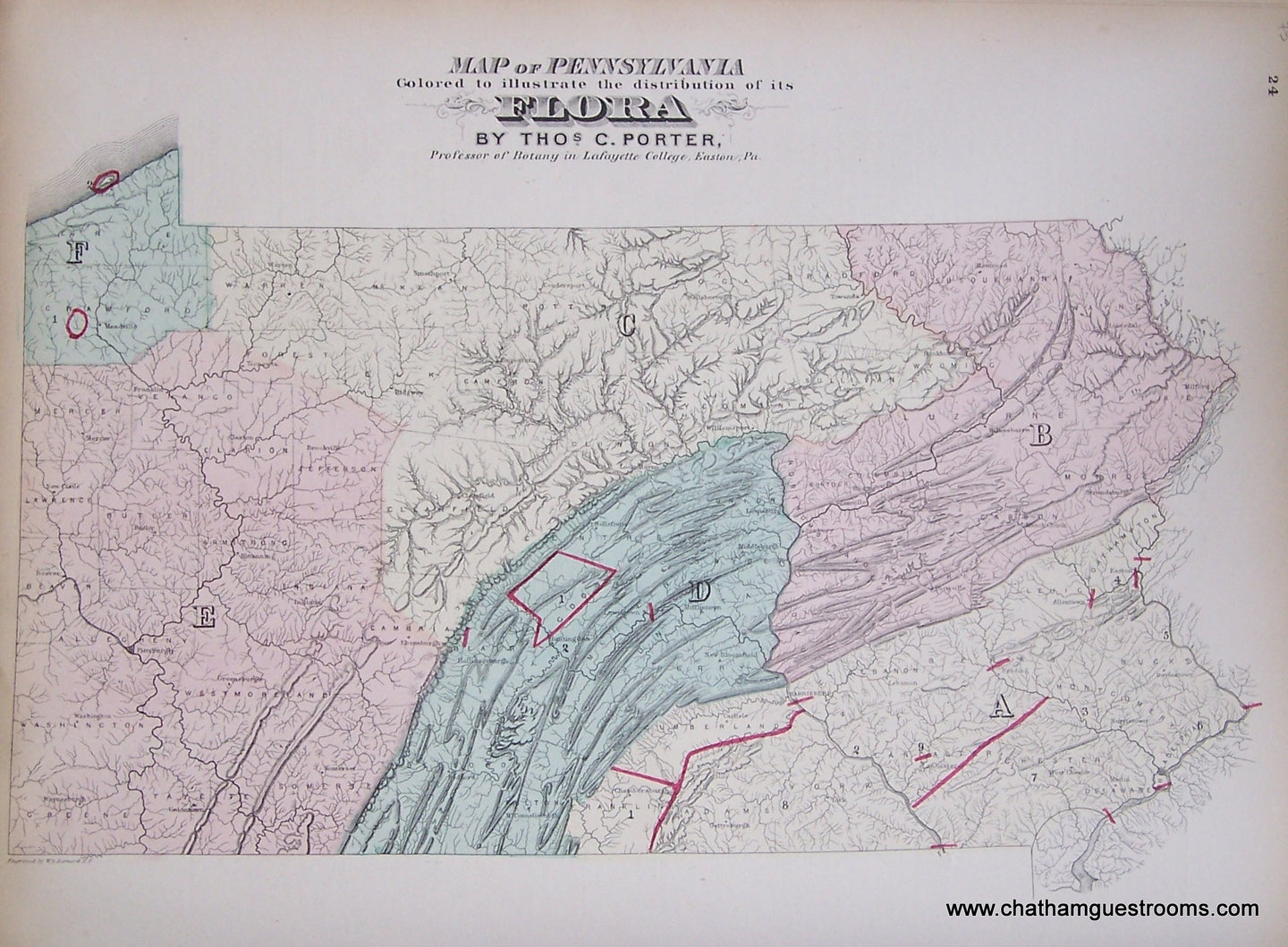 Antique-Hand-Colored-Geological-Map-Map-of-Pennsylvania-Colored-to-Illustrate-the-Distribution-of-its-Flora-United-States-Mid-Atlantic-1872-Walling-and-Gray-Maps-Of-Antiquity
