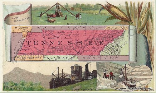 Antique-Map-Chromolithograph-Print-Vignettes-Card-Tennessee-Arbuckle-1890-1890s-1800s-Late-19th-Century-Maps-of-Antiquity