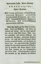 Load image into Gallery viewer, 1808 - Phaca alpina L. or Astragalus alpinus L. or alpine milkvetch - Antique Botanical Print

