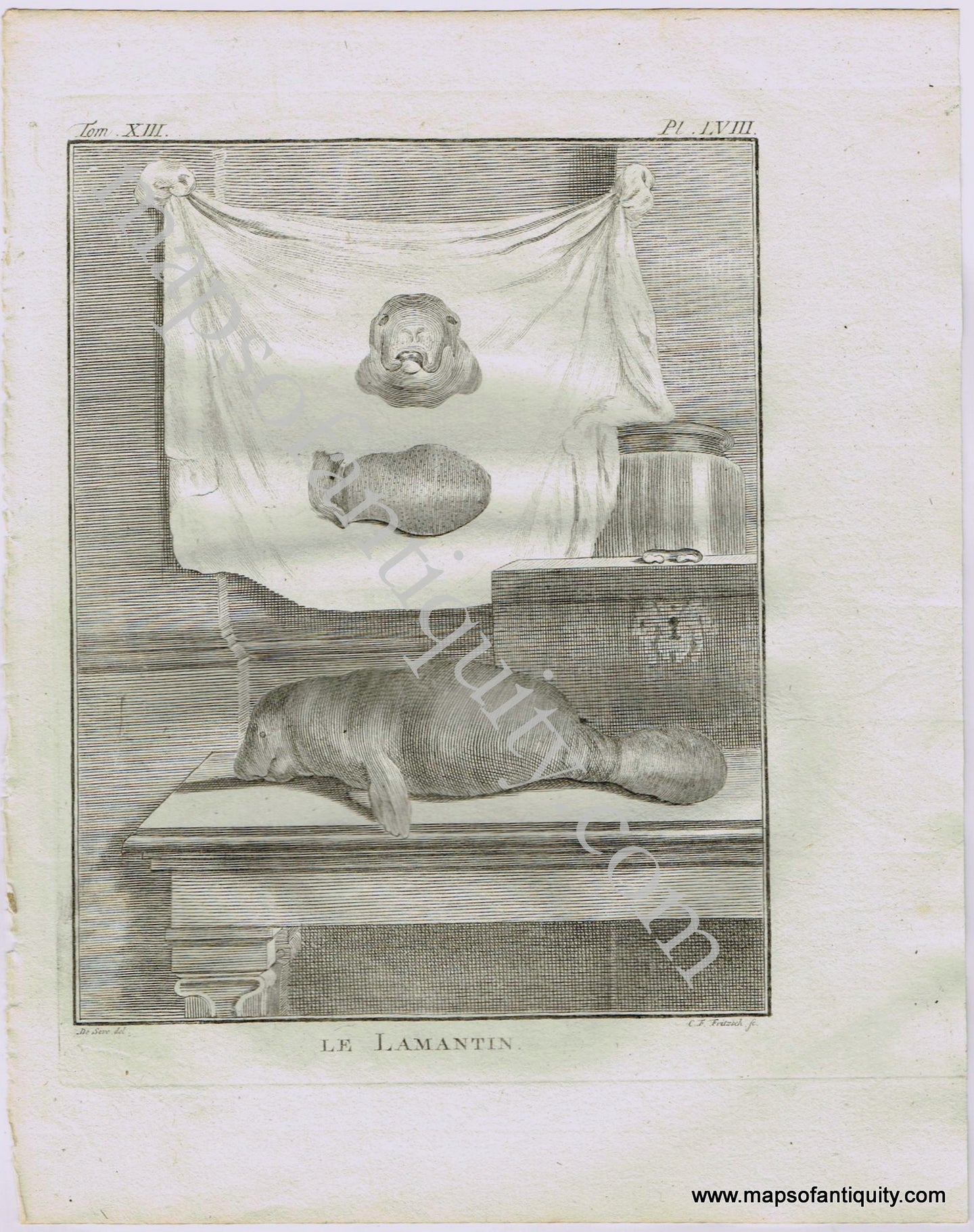 Antique-Early-Print-Prints-Engraved-Engraving-Illustration-Illustrated-Le-Lamantin-Manatee-Manatees-Natural-History-Buffon-Schneider-1780s-1700s-Late-16th-Century-Maps-of-Antiquity