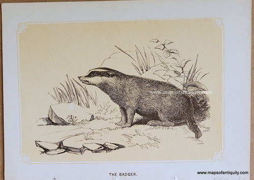 Genuine-Antique-Print-The-Badger-1850s-Tallis-Maps-Of-Antiquity