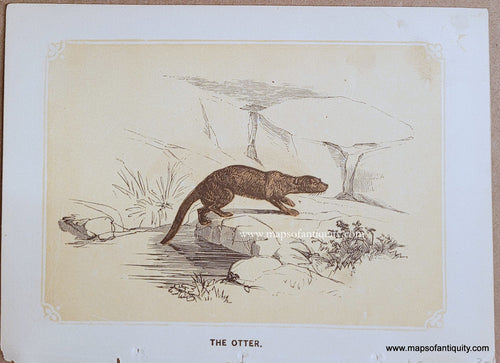 Genuine-Antique-Print-The-Otter-1850s-Tallis-Maps-Of-Antiquity