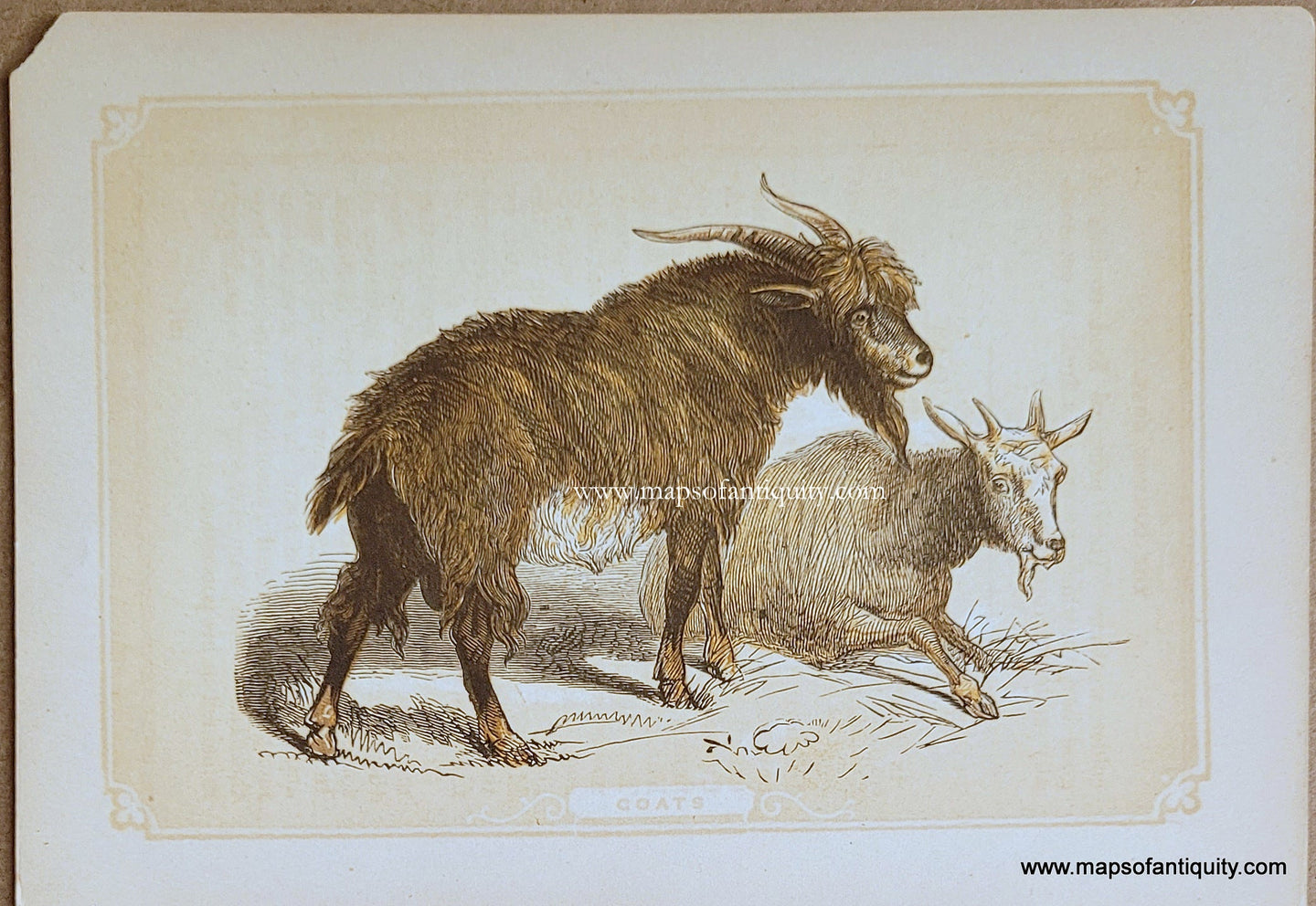 Genuine-Antique-Print-Goats-1850s-Tallis-Maps-Of-Antiquity