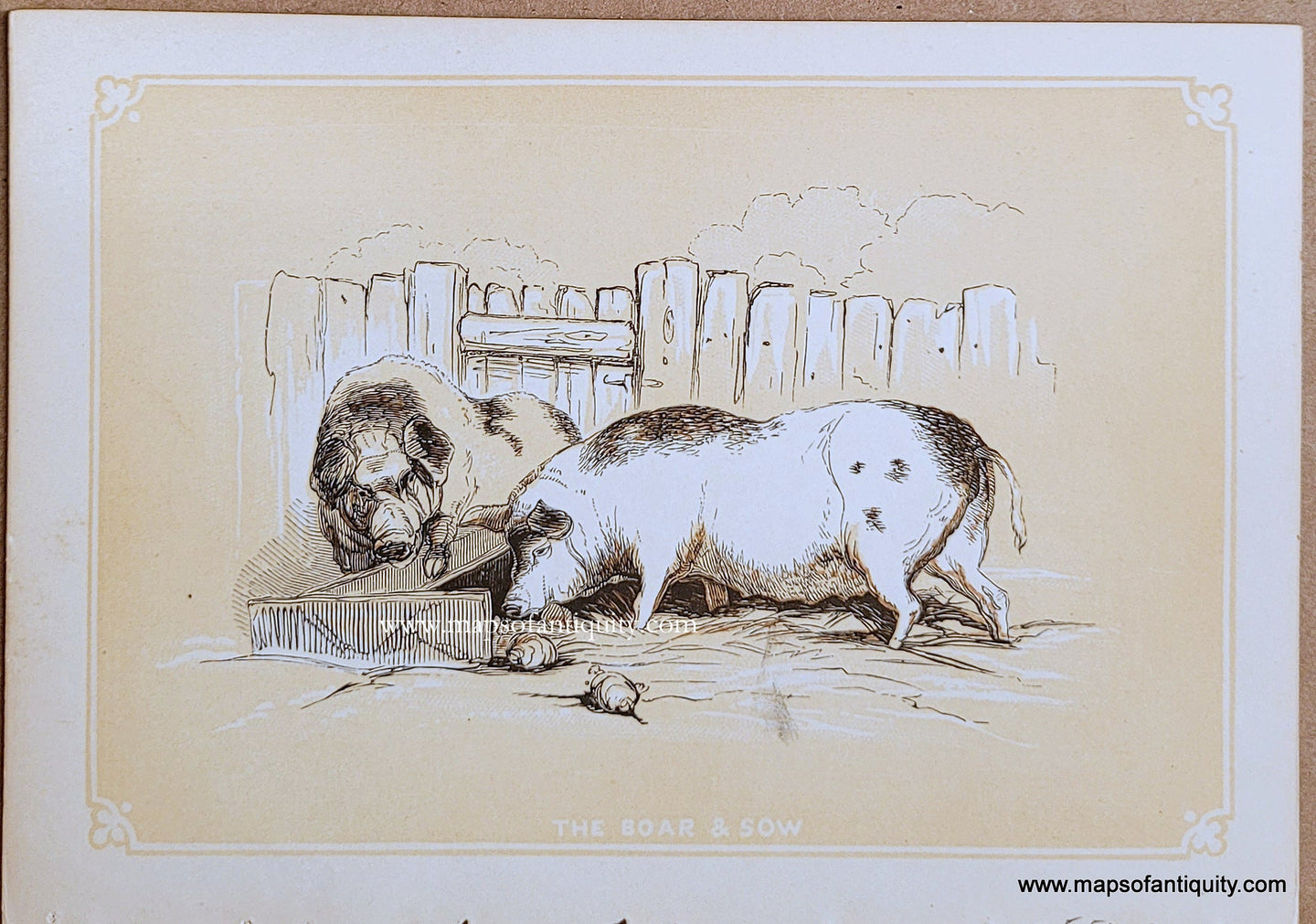 Genuine-Antique-Print-Boar-&-Sow-1850s-Tallis-Maps-Of-Antiquity