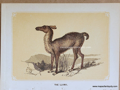 Genuine-Antique-Print-The-Llama-1850s-Tallis-Maps-Of-Antiquity