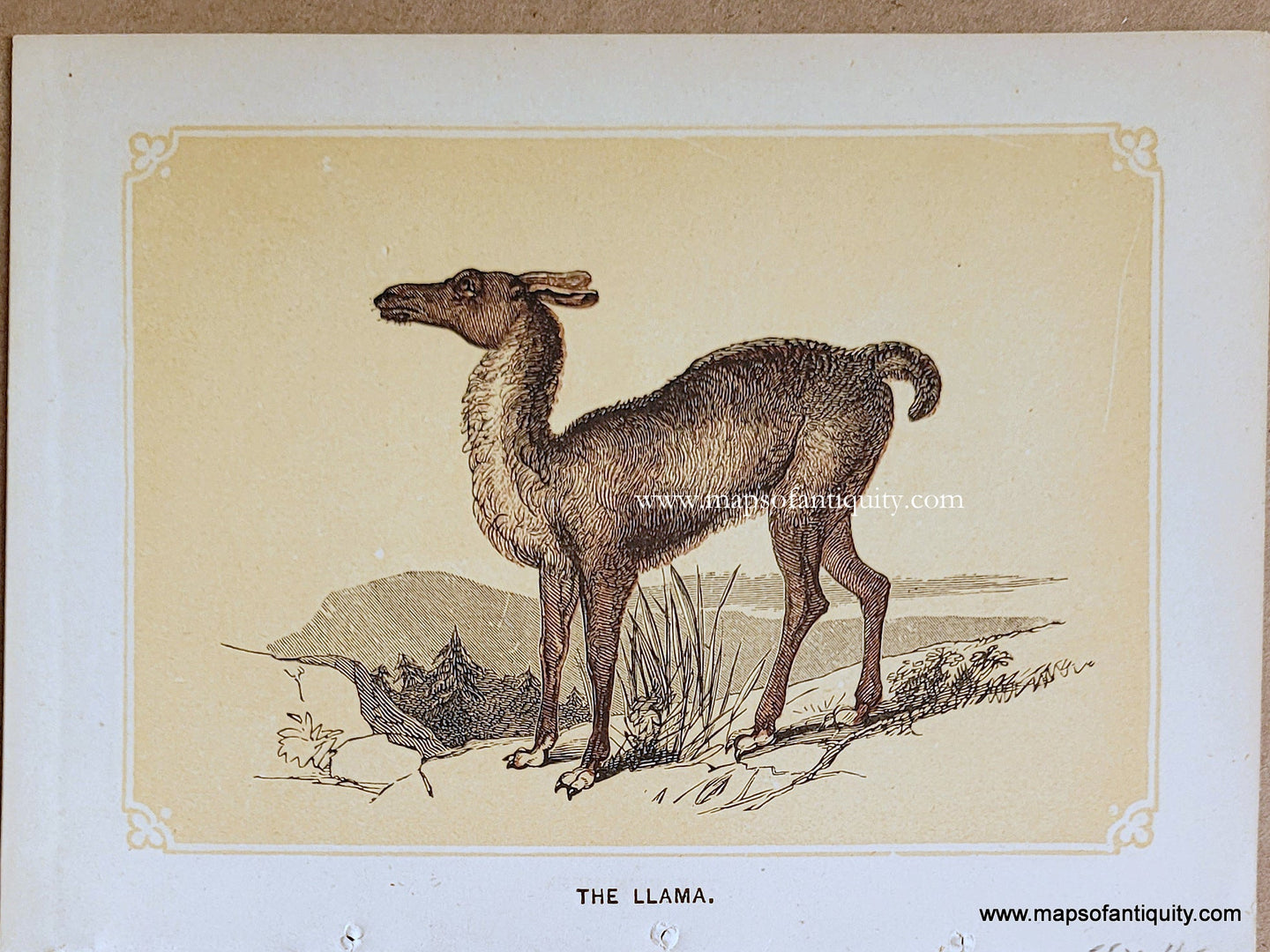 Genuine-Antique-Print-The-Llama-1850s-Tallis-Maps-Of-Antiquity