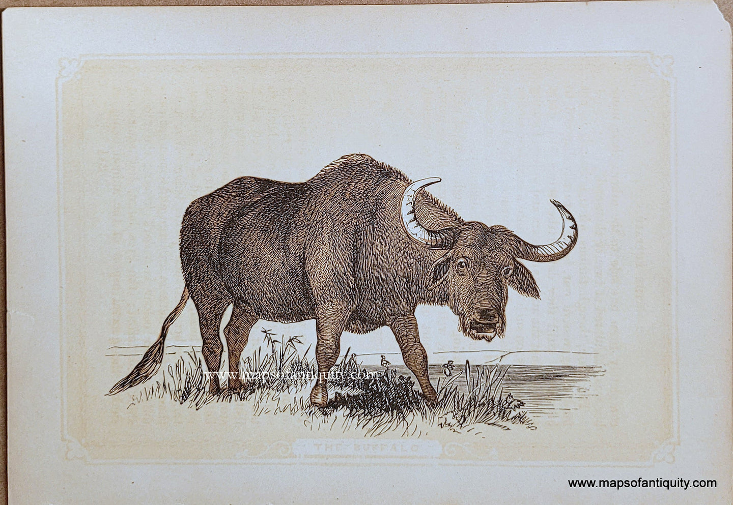 Genuine-Antique-Print-The-Buffalo-1850s-Tallis-Maps-Of-Antiquity