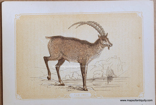 Genuine-Antique-Print-The-Ibex-1850s-Tallis-Maps-Of-Antiquity