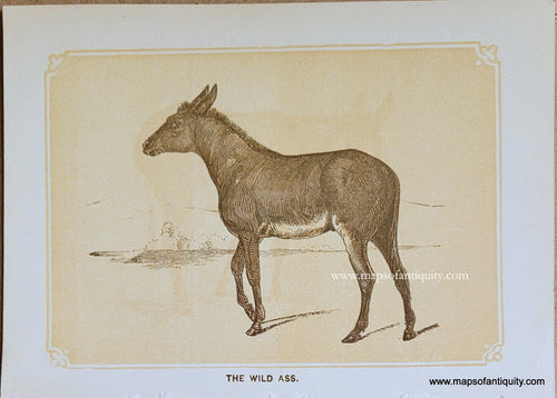 Genuine-Antique-Print-The-Wild-Ass-1850s-Tallis-Maps-Of-Antiquity