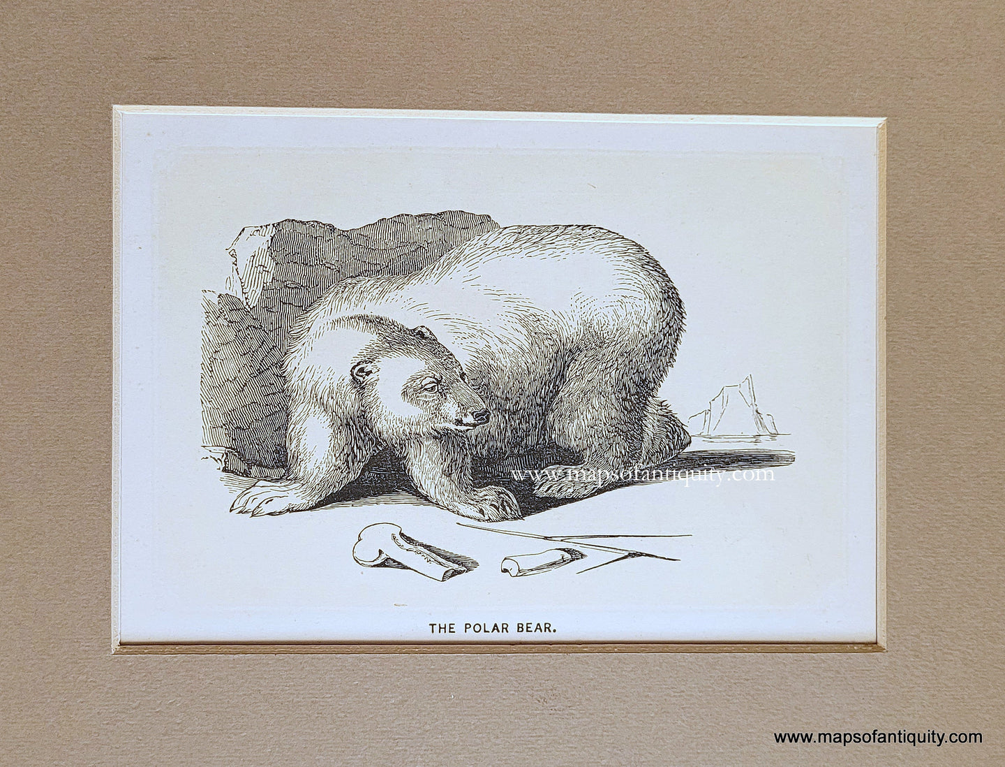 Genuine-Antique-Print-The-Polar-Bear-1850s-Tallis-Maps-Of-Antiquity