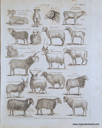 Genuine-Antique-Print-Ovis-1805-British-Encyclopaedia-Maps-Of-Antiquity