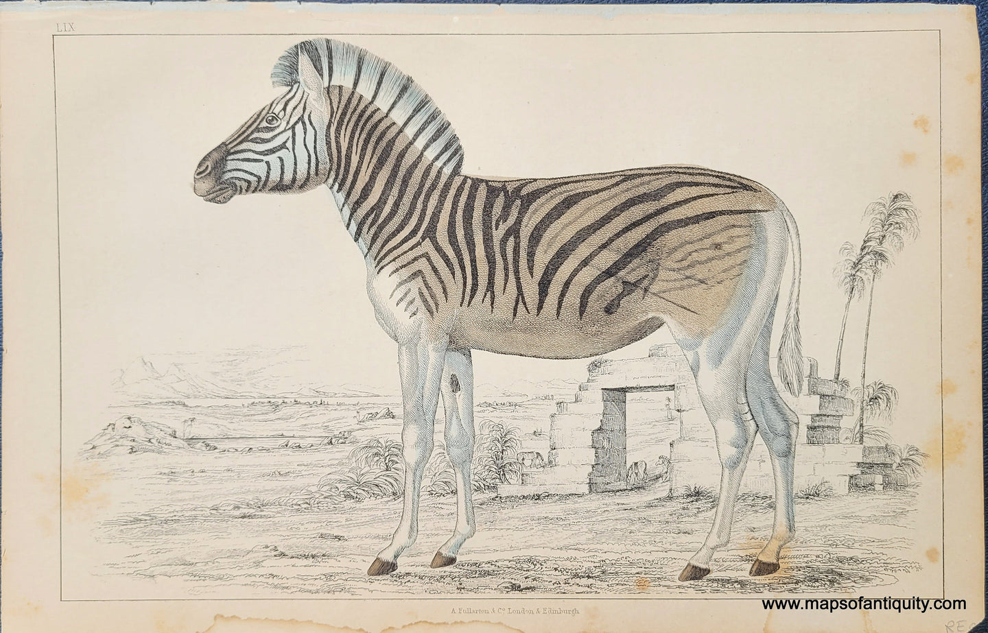 Genuine-Antique-Print-Zebra-1850-Fullarton-Maps-Of-Antiquity