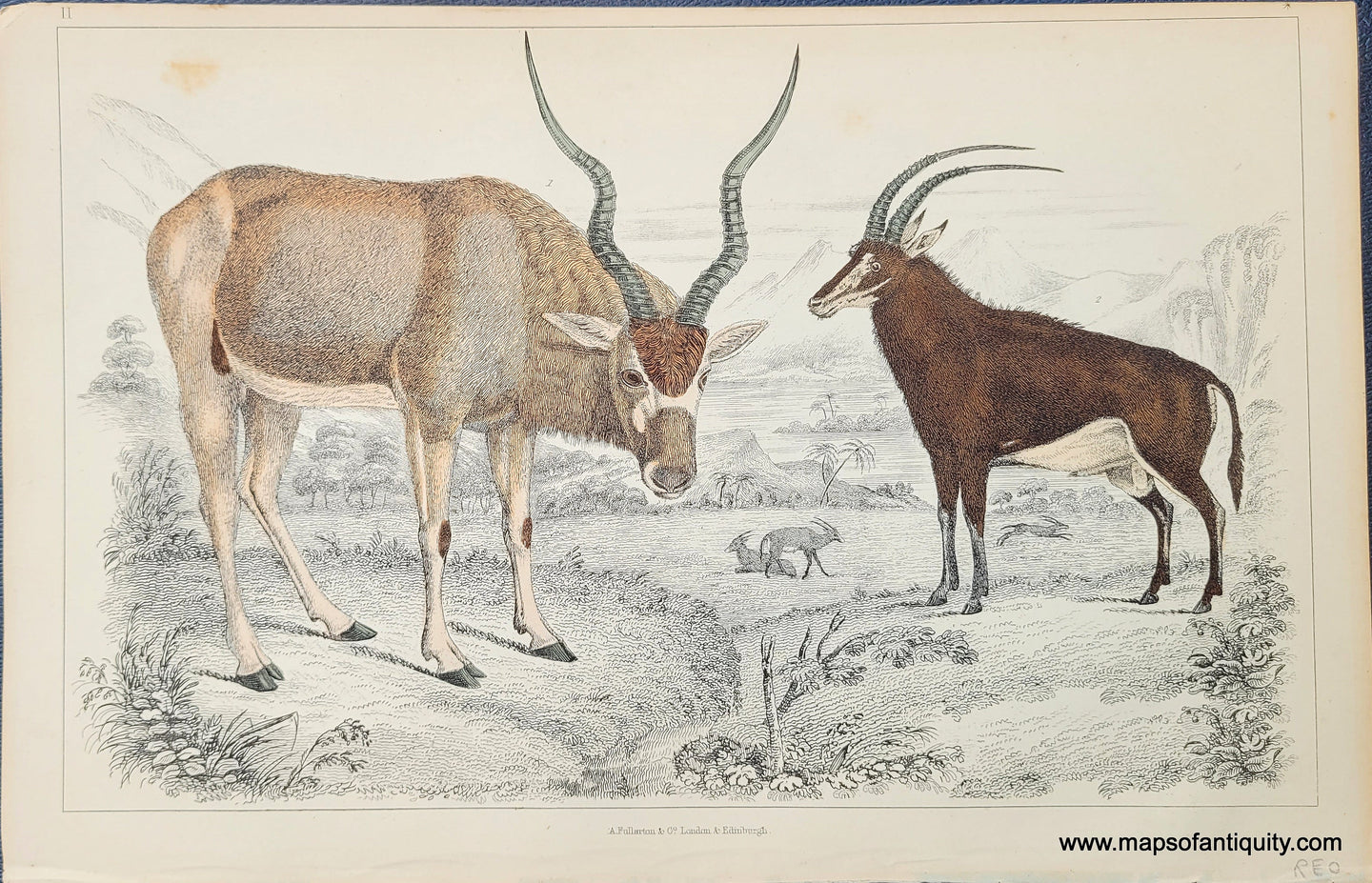 Genuine-Antique-Print-Antelope-1850-Fullarton-Maps-Of-Antiquity