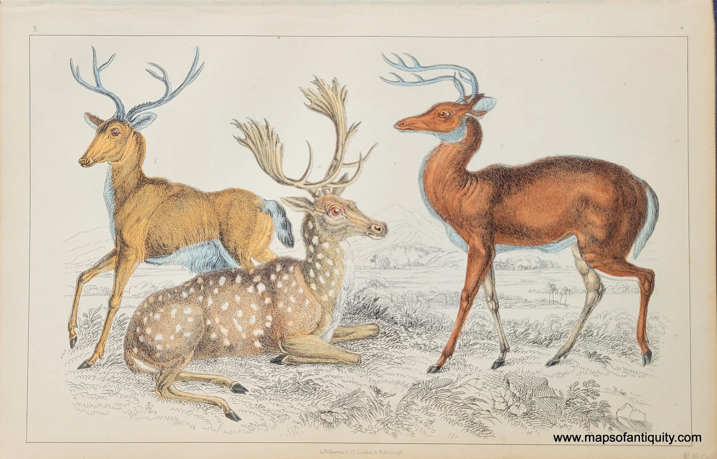 Genuine-Antique-Print-Deer-1850-Fullarton-Maps-Of-Antiquity