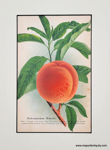 Genuine-Antique-Print-Schumaker-Peach-1880-J-W--Thompson---Co--Maps-Of-Antiquity