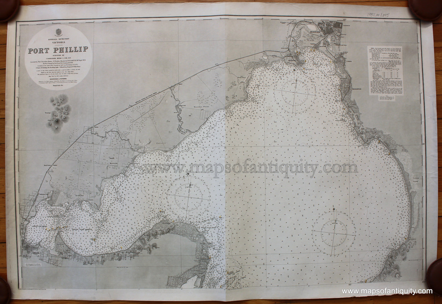 Antique-Black-and-White-Nautical-Chart-Port-Phillip-1894-Hydrographic-Office-of-the-British-Admiralty-Pacific-Australia-Charts-1800s-19th-century-Maps-of-Antiquity