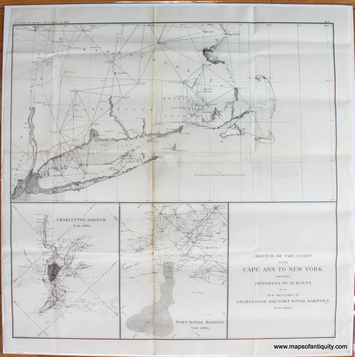 Antique-Map-Sketch-of-the-Coast-from-Cape-Ann-to-New-York-showing-the-Progress-of-Surveys-with-sub-sketches-of-Charleston-and-Port-Royal-Harbors-USC&GS-1896-Maps-Of-Antiquity