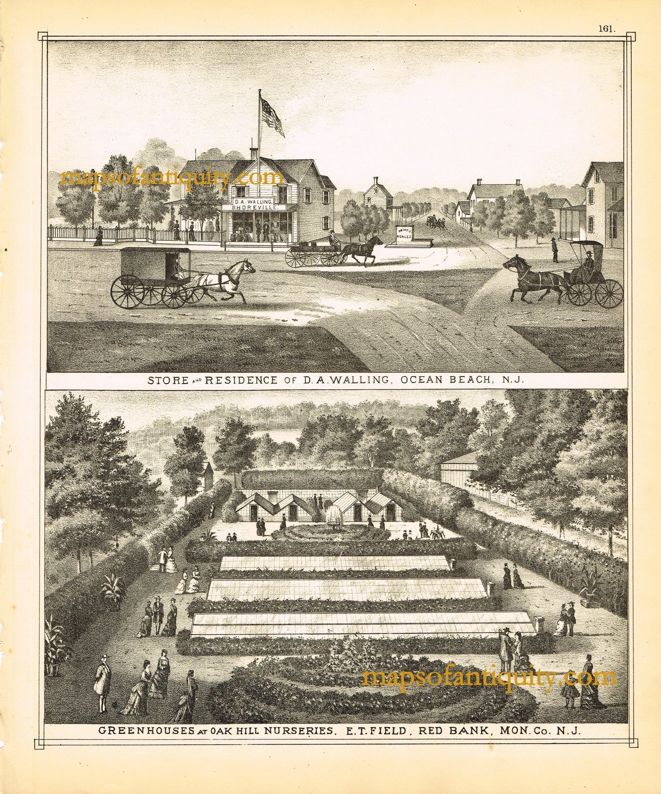Antique-Black-and-White-Engraving-Store-and-Residence-of-Walling-Ocean-Beach/Green-Houses-and-Oak-Hill-Nurseries-Red-Bank-Engraving-(NJ)-United-States-New-Jersey-1878-Woolman-&-Rose-Maps-Of-Antiquity