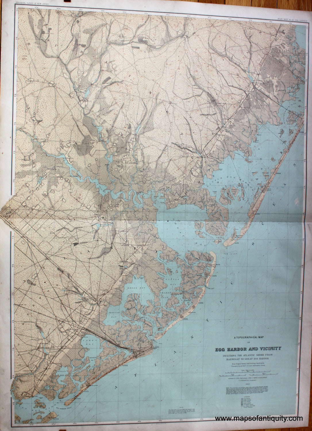 Antique-printed-color-Map-A-Topographical-Map-of-Egg-Harbor-and-Vicinity-including-the-Atlantic-Shore-from-Barnegat-to-Great-Egg-Harbor-United-States-Mid-Atlantic--1888-Bien-Maps-Of-Antiquity