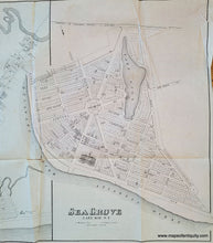 Load image into Gallery viewer, Antique-Map-Cape-May-City-New-Jersey-NJ-Sea-Grove-Cape-May-NY-New-York-1878-Woolman-Rose
