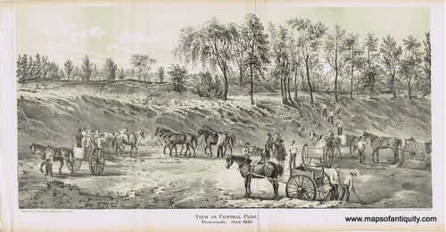 Genuine-Antique-Print-View-in-Central-Park-Promenade-June-1858-1859-Antique-Prints-New-York-City-Maps-Of-Antiquity