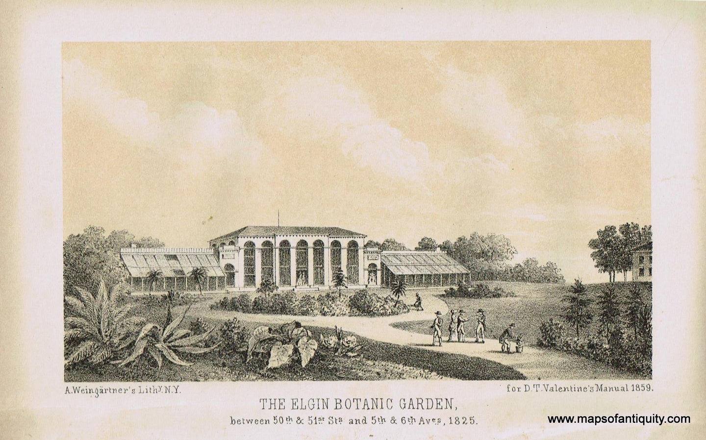 Genuine-Antique-Print-The-Elgin-Botanic-Garden-between-50th-51st-Streets-and-5th-6th-Avenues-1825--1859-Antique-Prints-New-York-City-Maps-Of-Antiquity