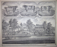 Load image into Gallery viewer, 1876 - Map of Barker Township (NY) - Antique Map
