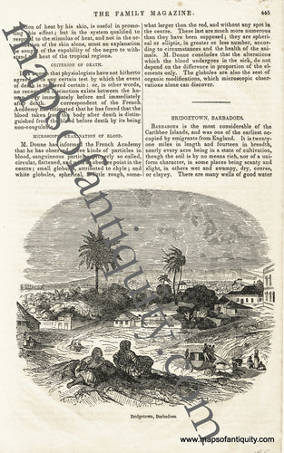 Antique-Uncolored-Print-Bridgetown-Barbadoes-(Barbados)-Caribbean--1839/1843-The-Family-Magazine-Maps-Of-Antiquity