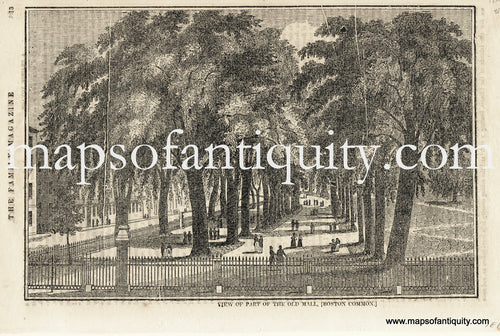 Antique-Uncolored-Print-View-of-Part-of-the-Old-Mall-(Boston-Common)-Massachusetts-Boston-1839/1843-The-Family-Magazine-Maps-Of-Antiquity