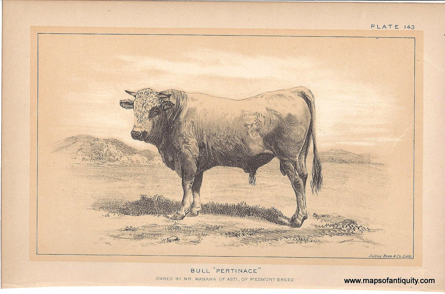 Genuine-Antique-Print-Bull--Pertinace--1888-Julius-Bien-Co-Maps-Of-Antiquity