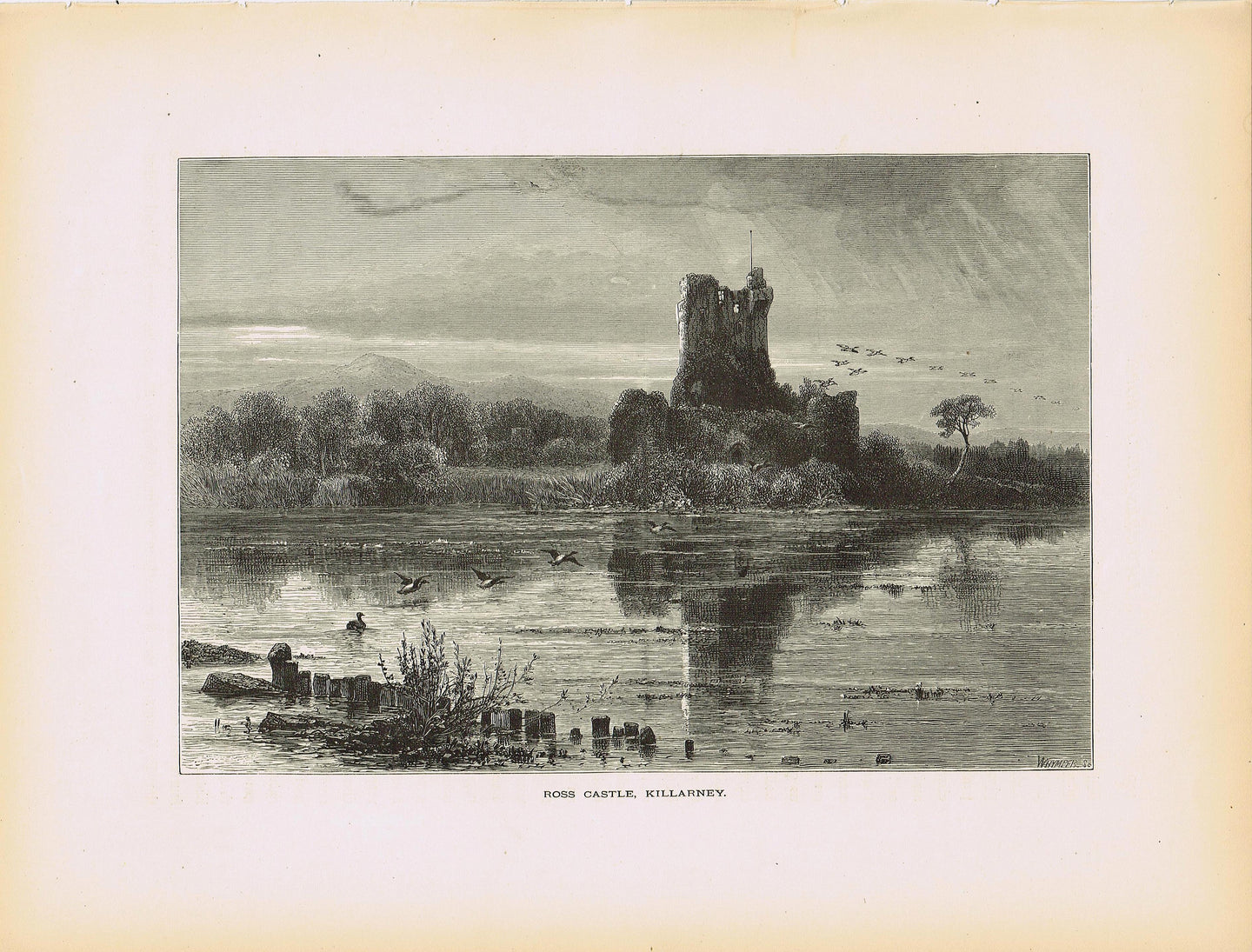 Genuine-Antique-Print-Ross-Castle-Killarney-Ireland--1875-Picturesque-Europe-Maps-Of-Antiquity