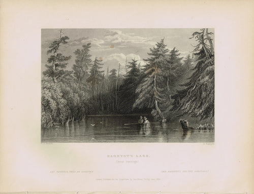 Genuine-Antique-Print-Barhydts-Lake-New-York--1839-Bartlett-Maps-Of-Antiquity