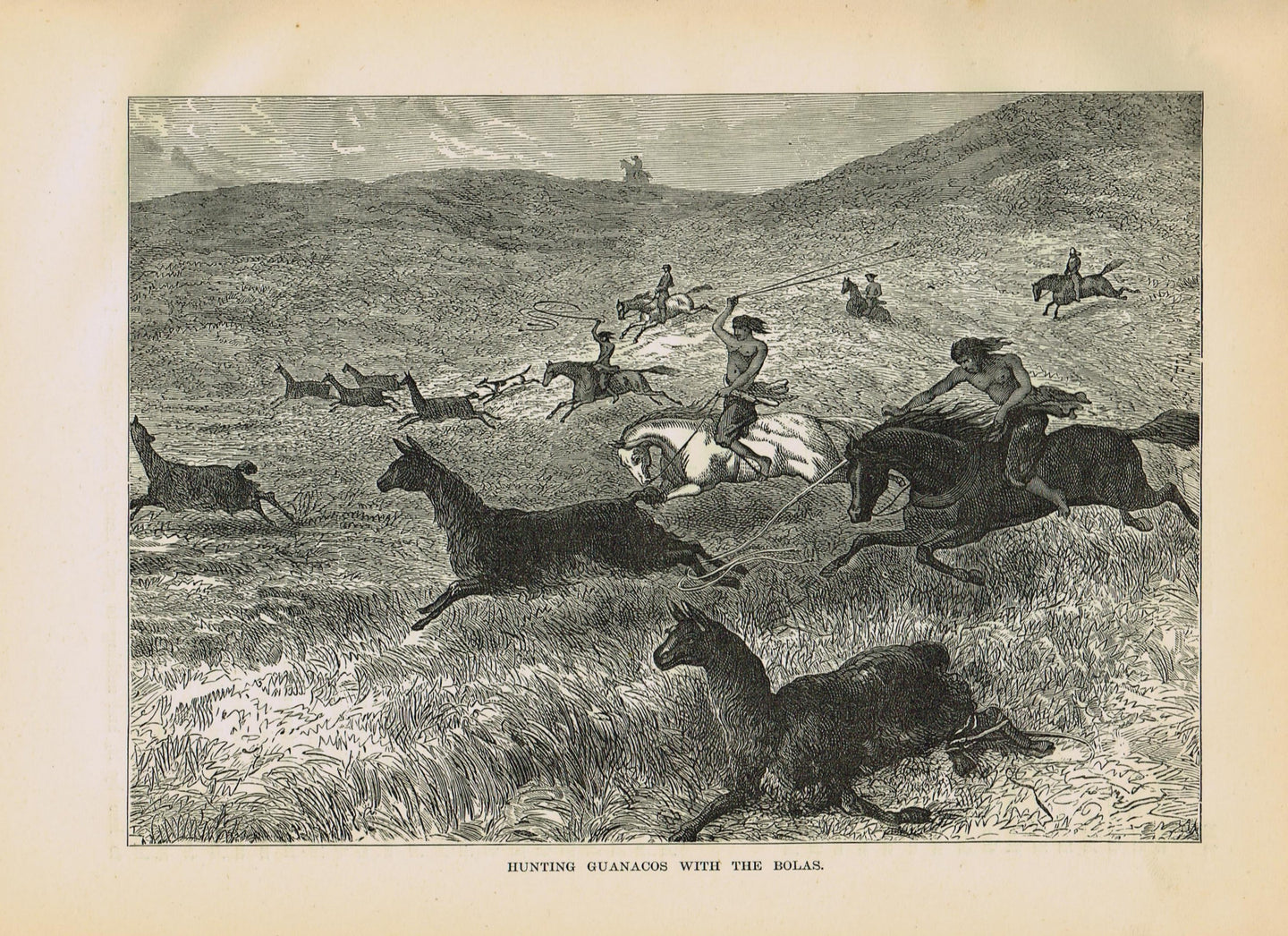 Genuine-Antique-Print-Hunting-Guanacos-with-the-Bolas--1881-Robert-Brown-Maps-Of-Antiquity
