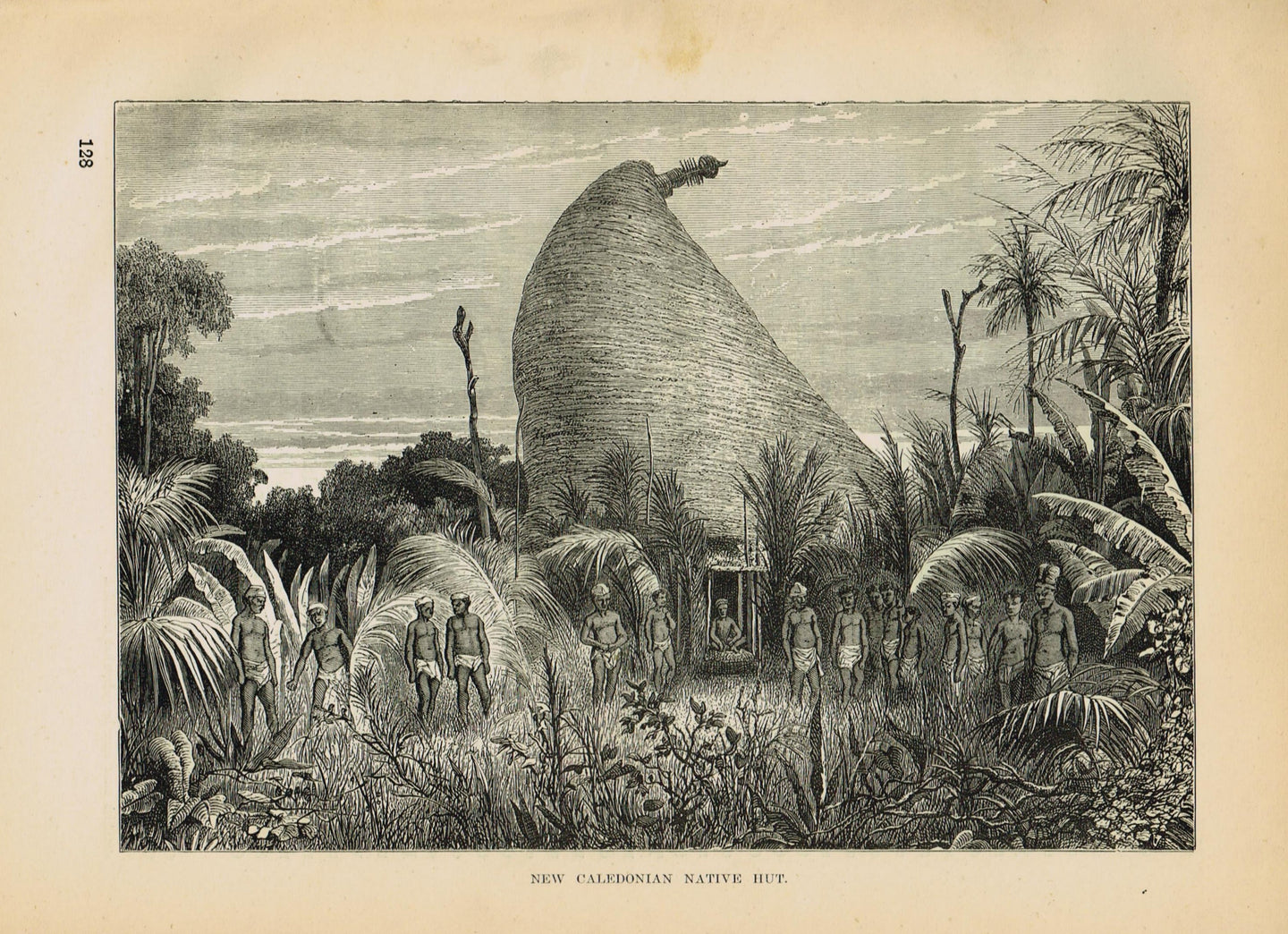 Genuine-Antique-Print-New-Caledonian-Native-Hut--1881-Robert-Brown-Maps-Of-Antiquity